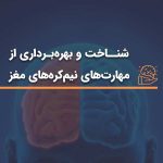 عملکرد نیم‌کره‌های مغز